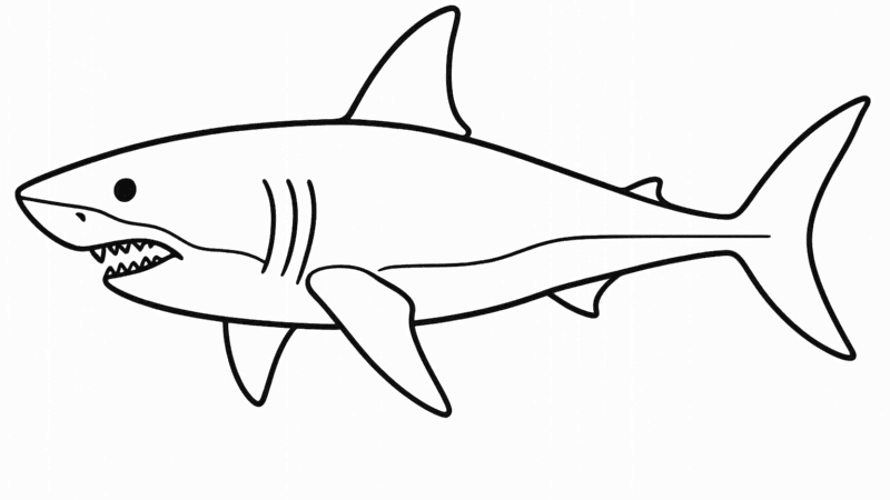 ホホジロザメ塗り絵｜無料ダウンロード