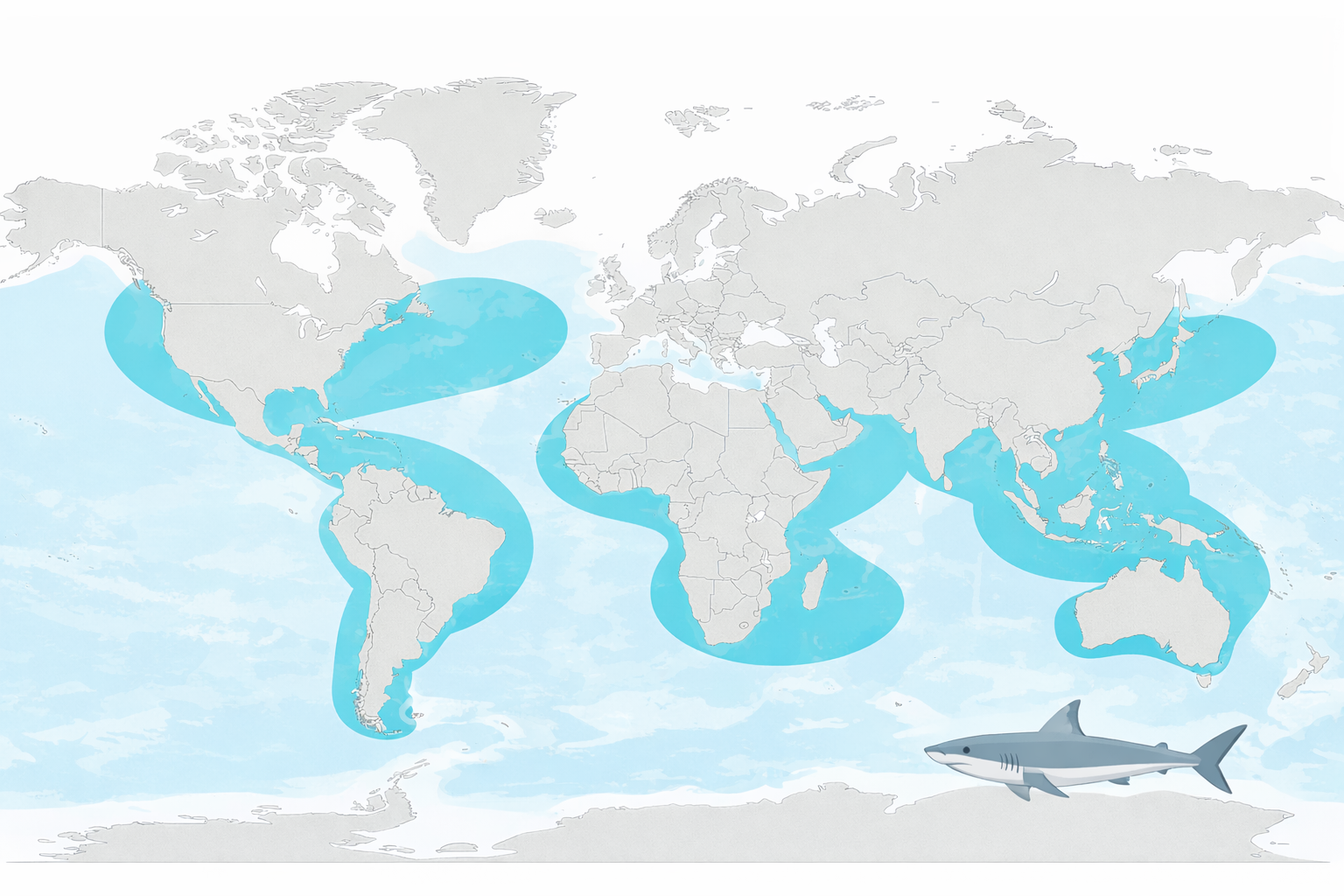 アオザメの世界分布図。世界中の温暖な外洋域（大西洋・太平洋・インド洋、日本近海にも分布）