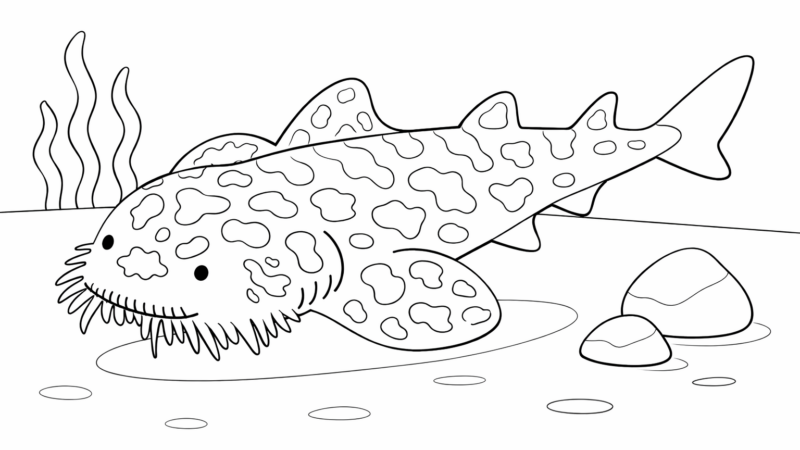 アラフラオオセの塗り絵｜無料ダウンロード