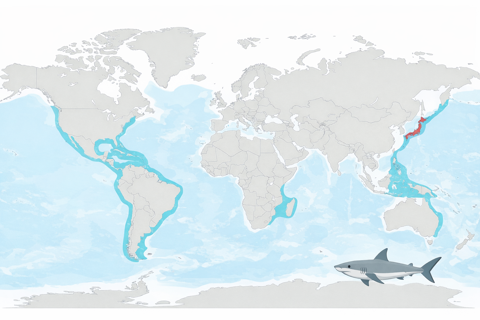 ホホジロザメの世界分布図。アメリカ西海岸、南アフリカ、オーストラリア周辺、地中海、日本近海などの温帯海域に分布